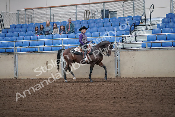 2019 Morgan Horse Show - Aug 31, 2019 - 10776