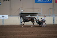 Class 157 - Morgan Pleasure Driving - Championship
