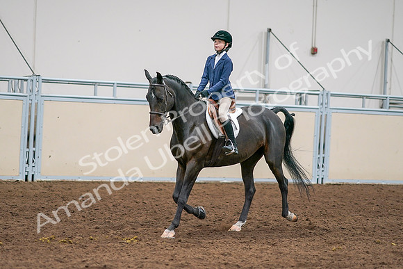 2020 - AB Morgan Horse - Sun, Sept 06 - 08177