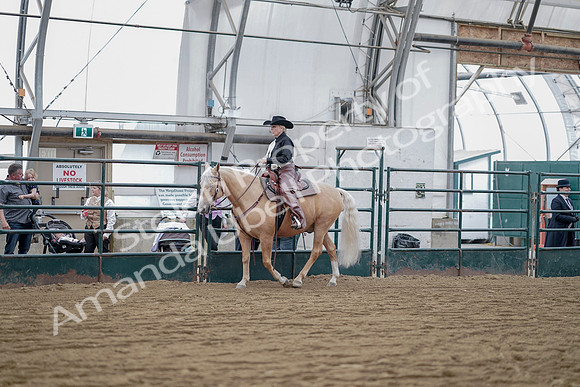 July 21, 2019 - 06505