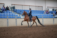2019 Morgan Horse Show - Aug 31, 2019 - 19909
