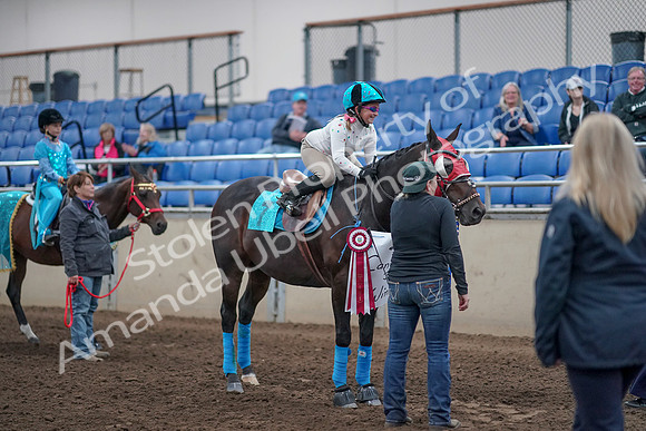 2019 Morgan Horse Show - Aug 31, 2019 - 10152