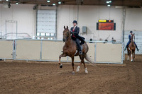 2020 - AB Morgan Horse - Sat, Sept 05 - 06029