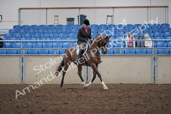 2019 Morgan Horse Show - Aug 31, 2019 - 16196