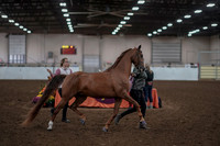 2019 Morgan Horse Show - Aug 31, 2019 - 01032