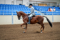 2020 - AB Morgan Horse - Fri, Sept 04 - 01473