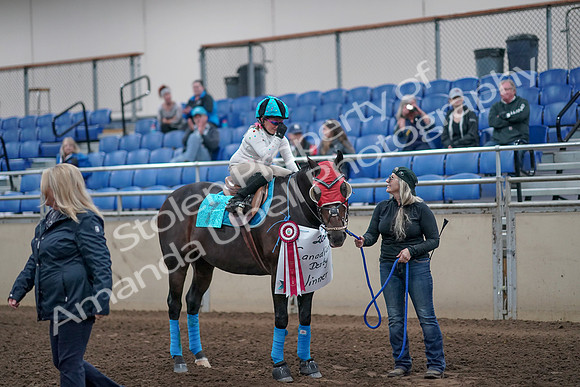 2019 Morgan Horse Show - Aug 31, 2019 - 10219