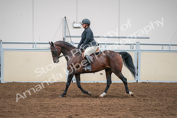 2020 - AB Morgan Horse - Sat, Sept 05 - 09338