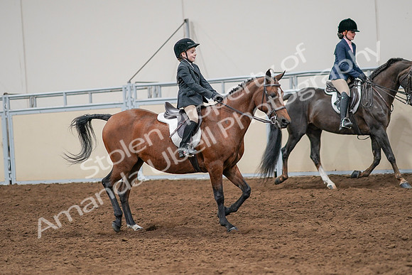 2020 - AB Morgan Horse - Sun, Sept 06 - 08002