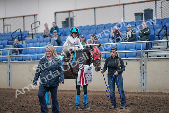 2019 Morgan Horse Show - Aug 31, 2019 - 10210