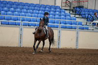 2020 - AB Morgan Horse - Sun, Sept 06 - 07678