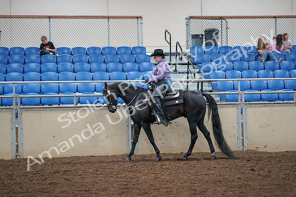 2019 Morgan Horse Show - Aug 30, 2019 - 16744