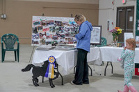 2019 Morgan Horse Show - Sept 01, 2019 - 05894