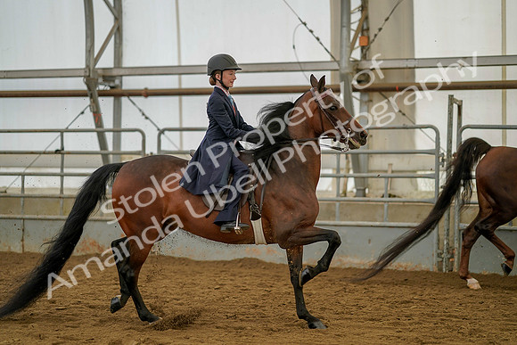 July 20, 2019 - 03827