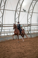 Class 047 - All Breed English Pleasure - Limit Rider