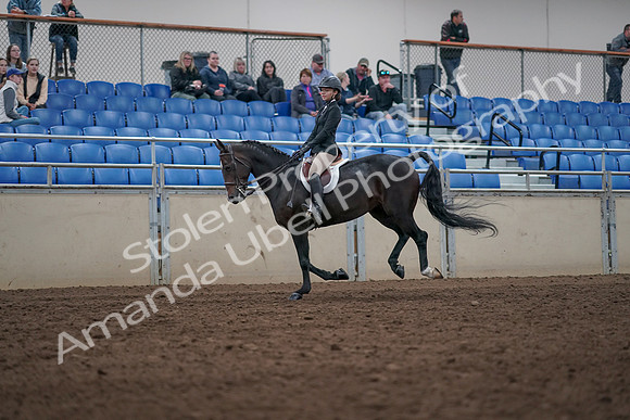 2019 Morgan Horse Show - Aug 31, 2019 - 20603
