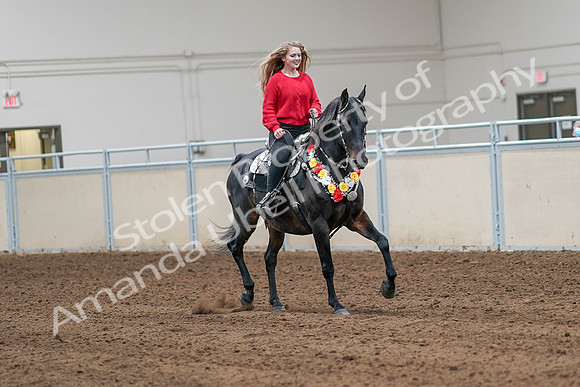 2020 - AB Morgan Horse - Sat, Sept 05 - 10494