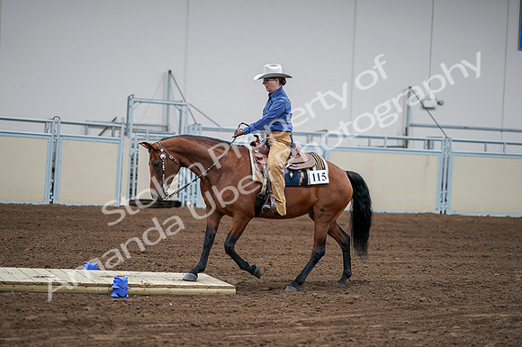 2020 - AB Morgan Horse - Fri, Sept 04 - 00165