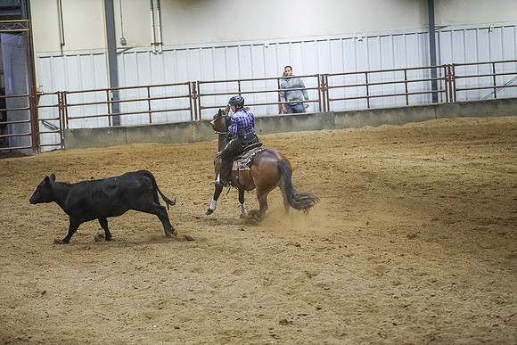 DSC03001