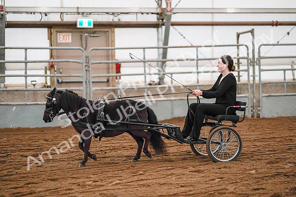 July 19, 2019 - 7023
