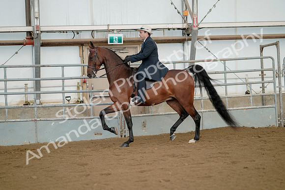 July 21, 2019 - 01570