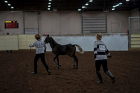 2019 Morgan Horse Show - Aug 31, 2019 - 00060