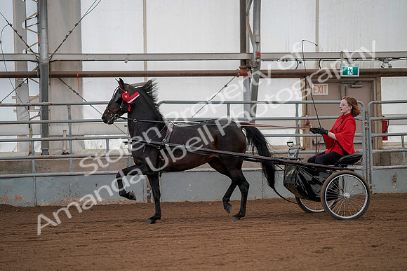 July 20, 2019 - 00323