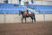 2019 Morgan Horse Show - Sept 01, 2019 - 05723