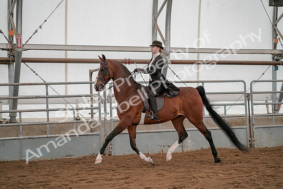 July 19, 2019 - 4233