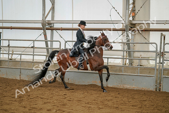 July 20, 2019 - 04605