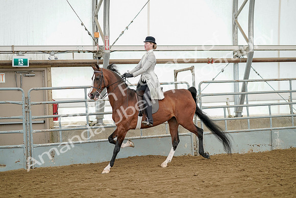 July 20, 2019 - 07893