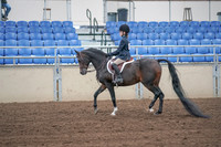 2019 Morgan Horse Show - Sept 01, 2019 - 05487