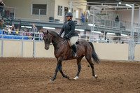 2020 - AB Morgan Horse - Sat, Sept 05 - 09298
