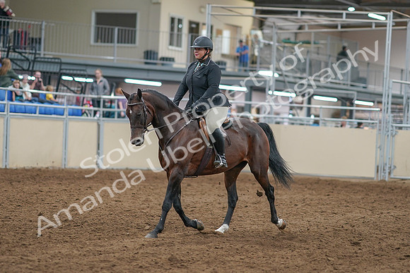 2020 - AB Morgan Horse - Sat, Sept 05 - 09298