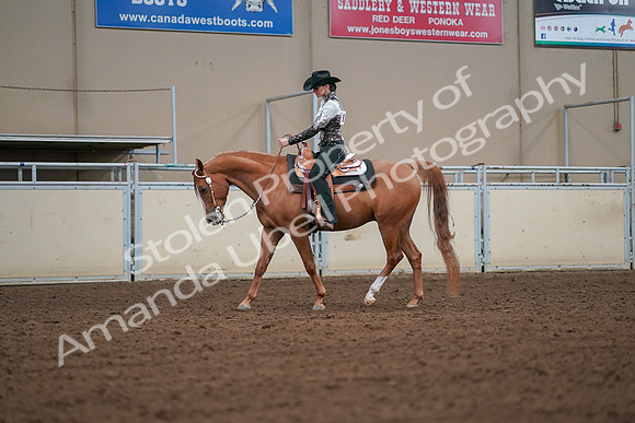 2019 Morgan Horse Show - Aug 30, 2019 - 16778