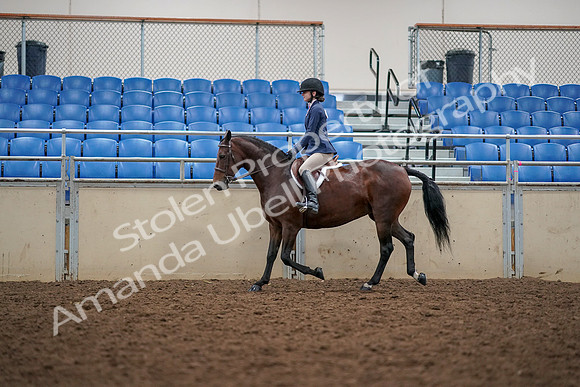 2019 Morgan Horse Show - Aug 30, 2019 - 23389