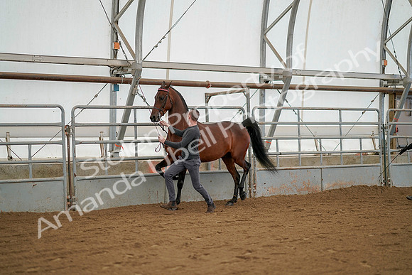 July 19, 2019 - 1233