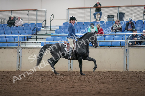2019 Morgan Horse Show - Aug 31, 2019 - 07396