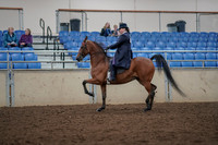 2019 Morgan Horse Show - Aug 30, 2019 - 28365