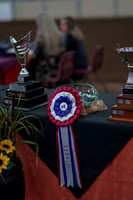 2019 Morgan Horse Show - Sept 01, 2019 - 00004