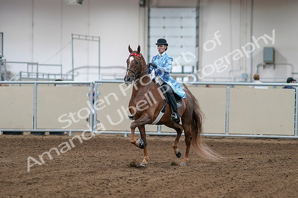 2020 - AB Morgan Horse - Sat, Sept 05 - 06101
