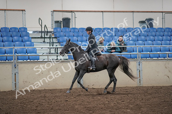 2019 Morgan Horse Show - Aug 31, 2019 - 07365