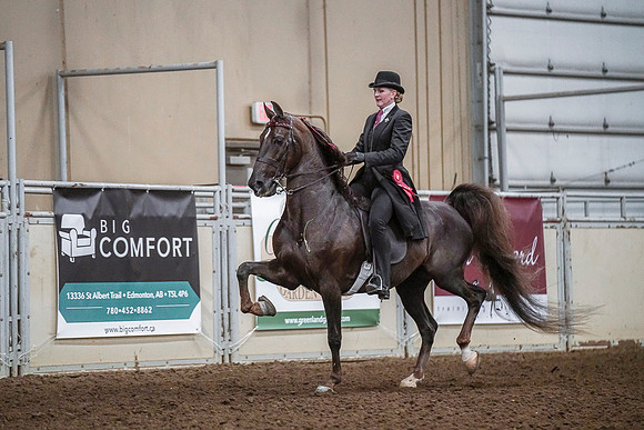 Spring Fling - Saturday - April 20, 2019  -  03662