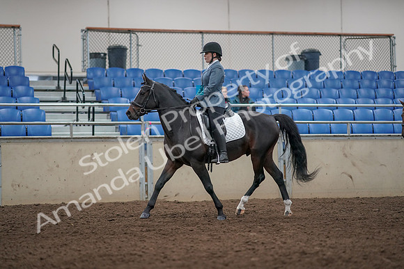 2019 Morgan Horse Show - Aug 31, 2019 - 07244