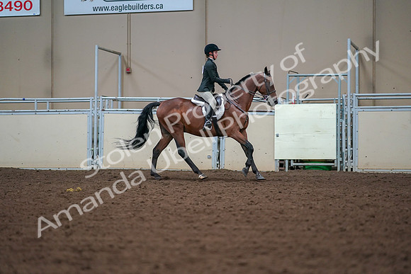 2019 Morgan Horse Show - Aug 30, 2019 - 21037