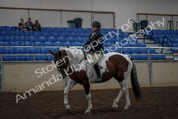 2019 Morgan Horse Show - Aug 30, 2019 - 31186