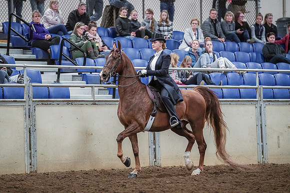 Spring Fling - Saturday - April 20, 2019  -  04415