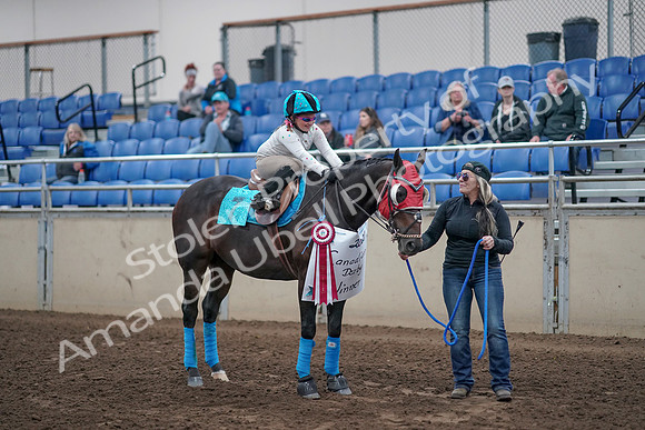 2019 Morgan Horse Show - Aug 31, 2019 - 10238