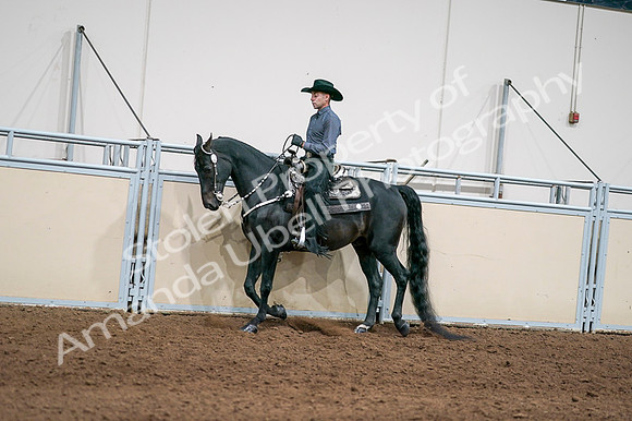 2020 - AB Morgan Horse - Fri, Sept 04 - 08381