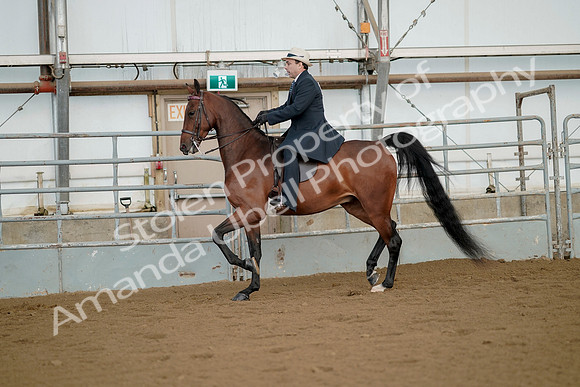 July 21, 2019 - 01569